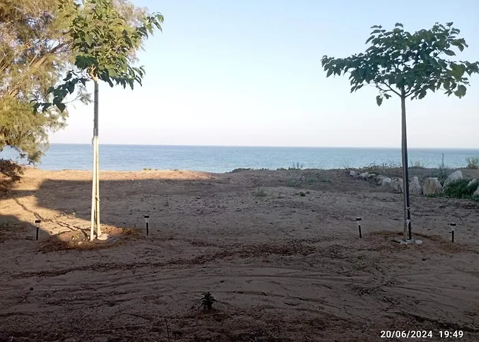 House On The Wave Relax