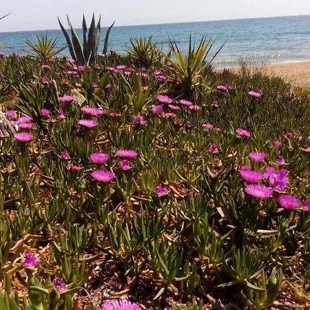 House On The Wave Relax