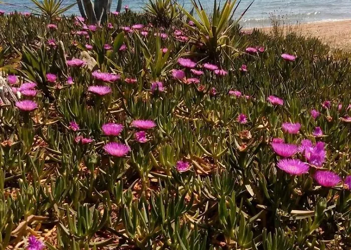 House On The Wave Relax